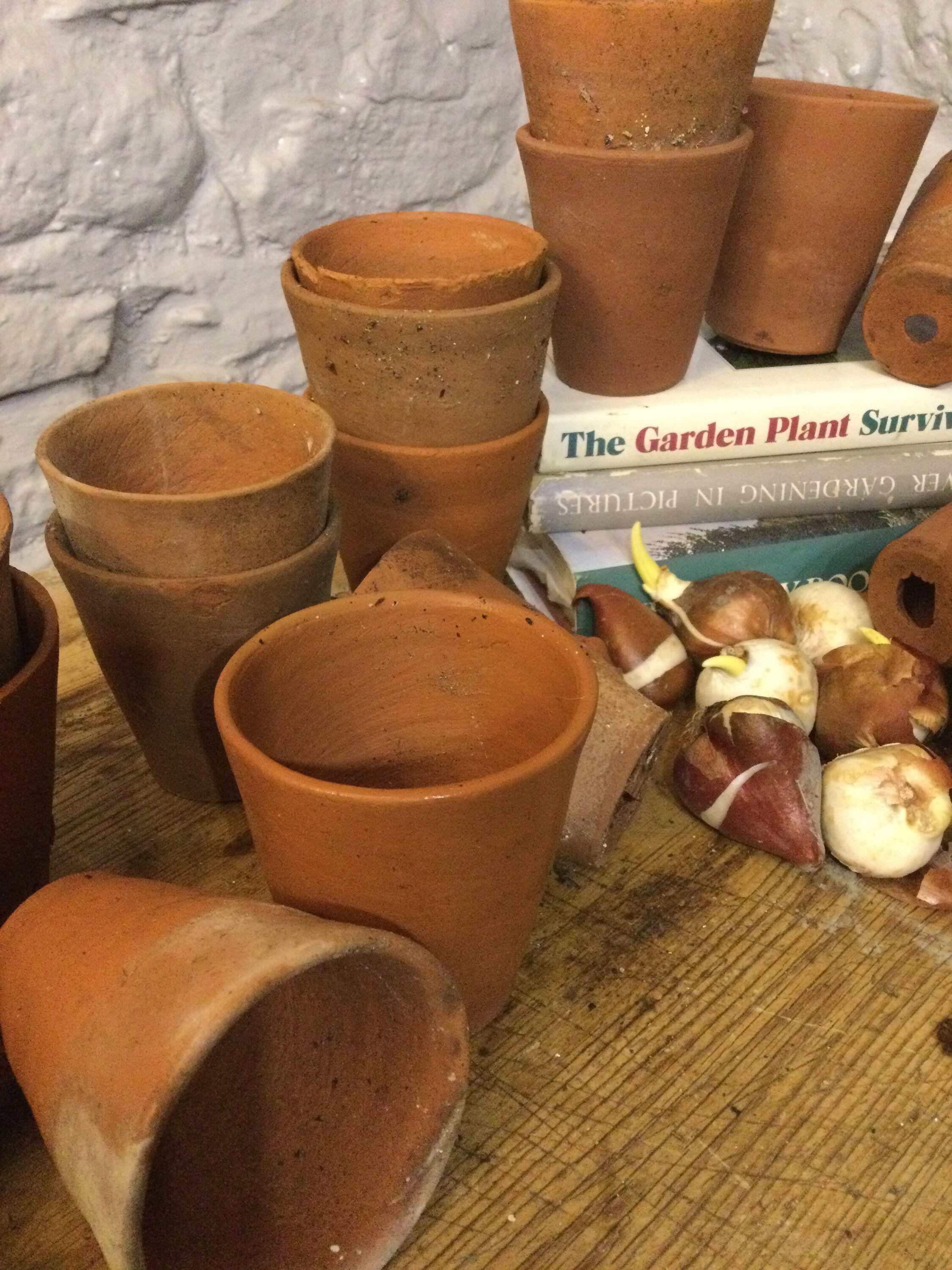 Set of 6 vintage antique terracotta plant pots Etsy