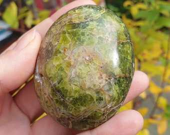 GREEN OPAL pebble from Madagascar