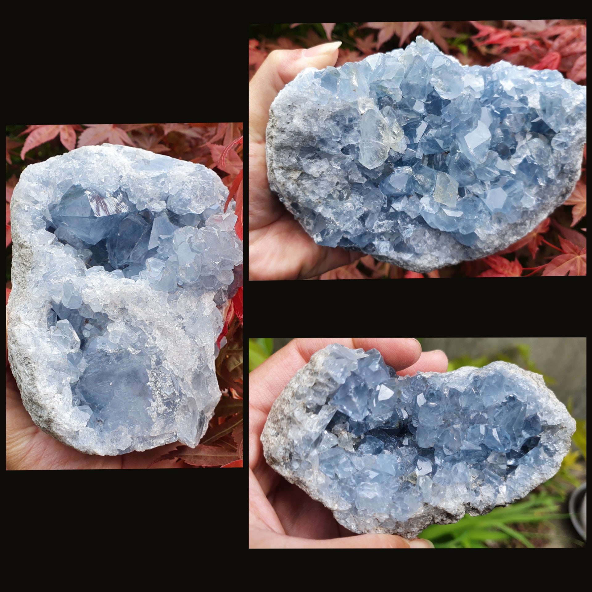Druse Celestite | Céléstine de Madagascar