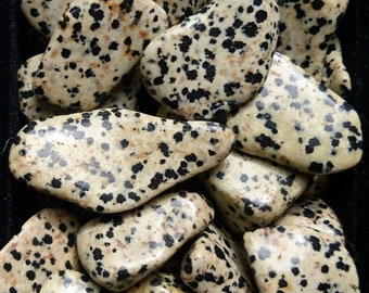 Anchor tumbled stones - Dalmatian Jasper - Garnet - Mokaite Jasper