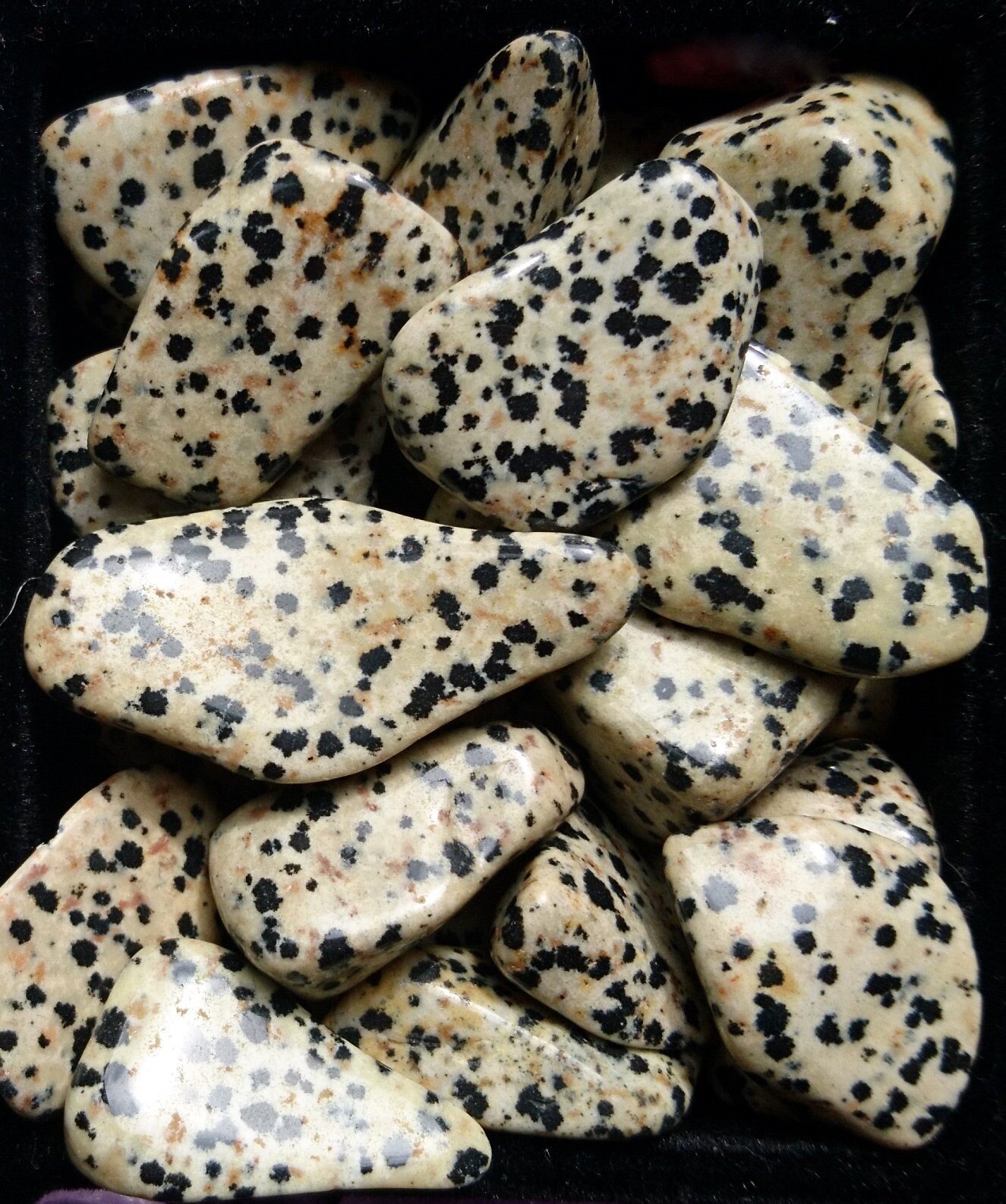 Pierre Roulées d'ancrage - Jaspe Dalmatien Grenat Mokaïte