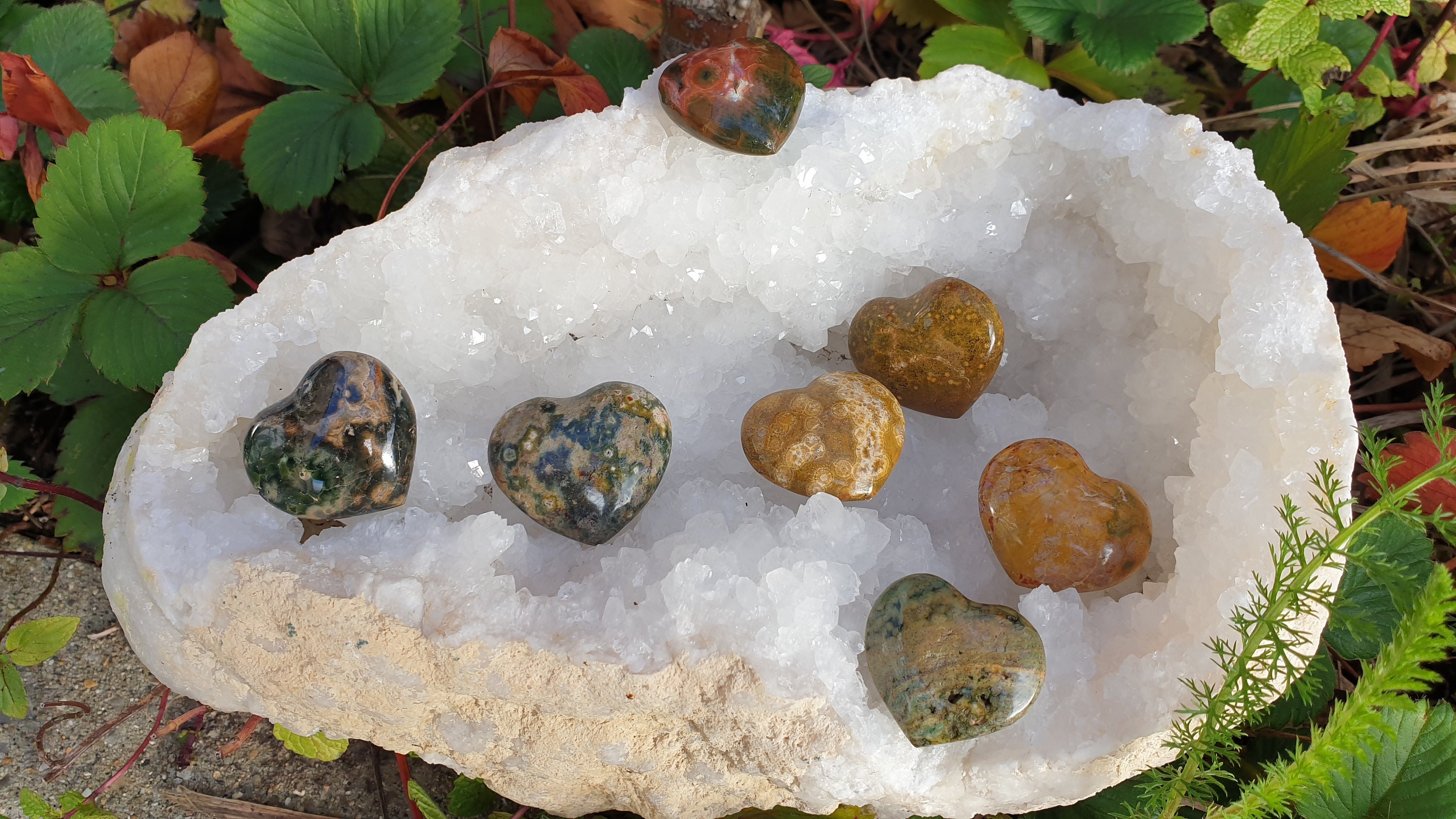 Petits Coeurs en Jaspe Orbiculaire