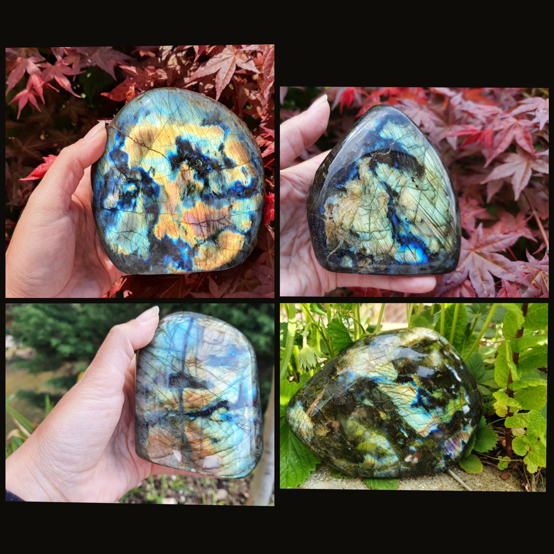 Labradorites Forme Libre de Madagascar - 611, 867, 11Oo et 1250 Gr