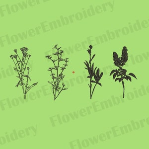 May include: Four black and white line drawings of different types of flowers. The flowers are simple and elegant, with delicate stems and leaves.