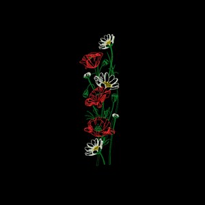 Puede incluir: Un ramo de amapolas rojas y margaritas blancas con tallos y hojas verdes sobre un fondo negro.