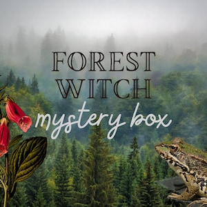 Foraged & Vintage Forest Witch Mystery Box: Goblincore Home Decor