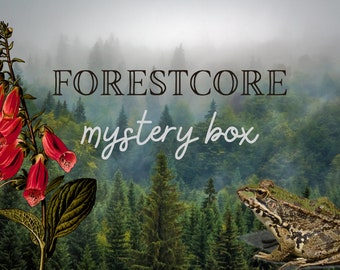 Forestcore Mystery Box - Foraged + Vintage Cabincore Aesthetic Home Decor - Goblincore, Dark Cottagecore, Mosscore, Oddities