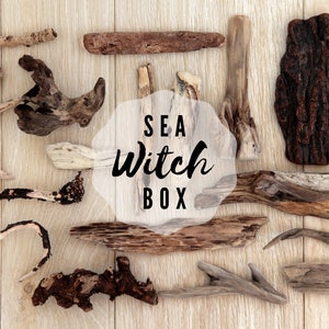 Sea Witch Mystery Box, Pacific Coast Curios, Water Witch, Ocean Lover, Beach Box, Nautical, Sea Hag, Mermaidcore, Ocean Academia