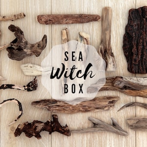 Sea Witch Mystery Box: Oregon Coast Foraged + Handcrafted Curios