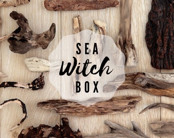 Sea Witch Mystery Box: Oregon Coast Foraged + Handcrafted Curios