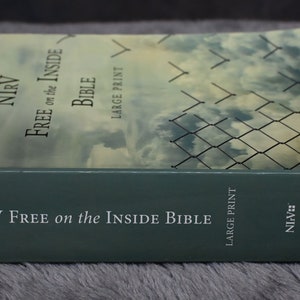 May include: A hardcover Bible titled "NiRV Free on the Inside Bible" with large print. The cover features a cloudy sky and a chain-link fence design. The spine is a muted green with the title and publisher's logo.