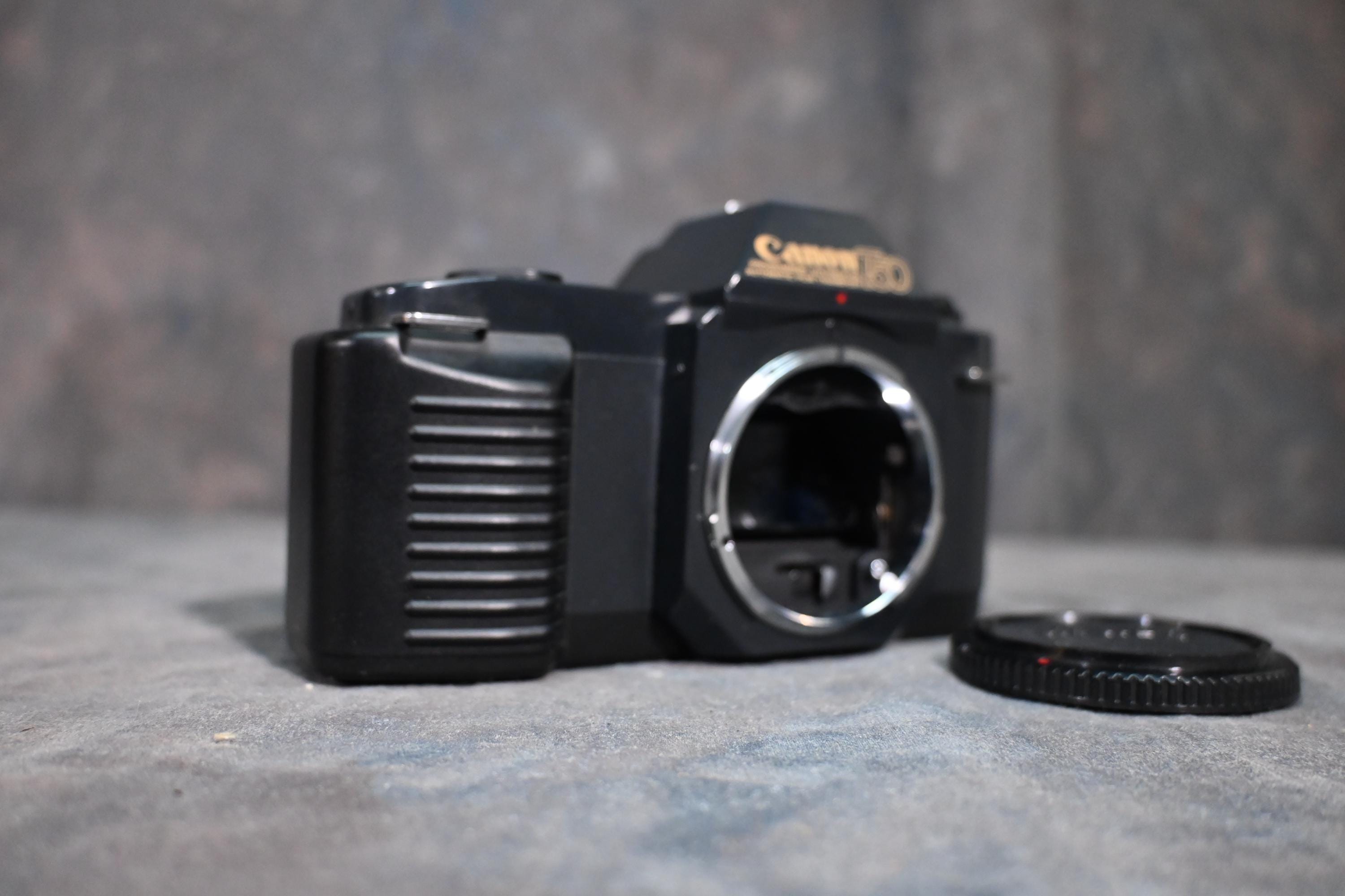 Canon t50 - Etsy 日本