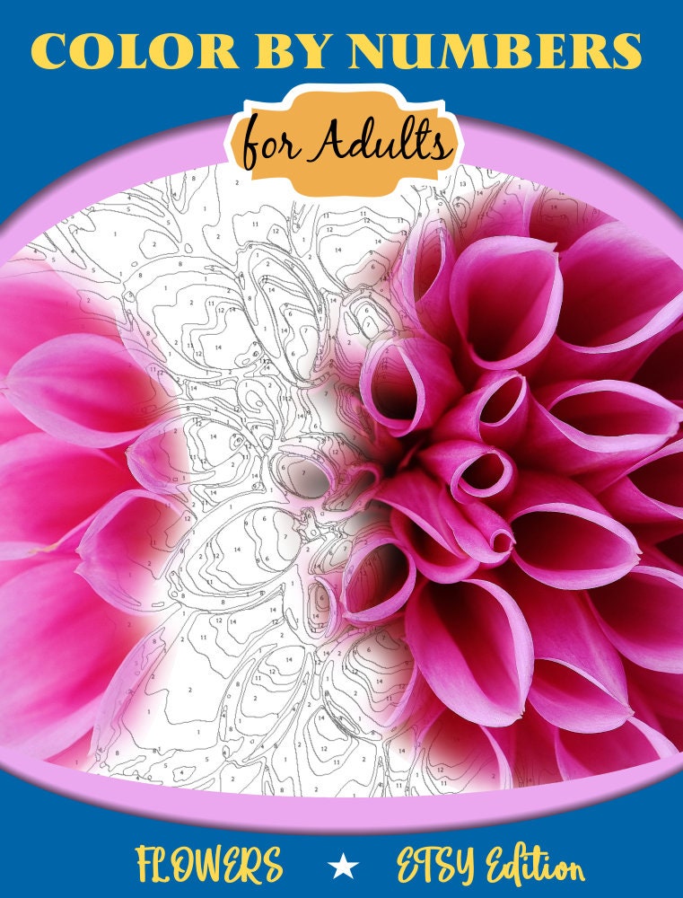 Download Color By Numbers Printable Coloring Book For Adults Teens Etsy