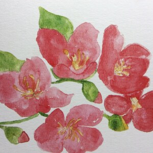 Desenhos florais de Pippa por Blooming.flowers.com