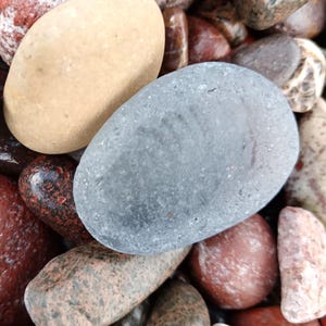 May include: Close-up of a collection of smooth, colorful river rocks. The rocks vary in size, shape, and color, including shades of gray, tan, and reddish-brown. Some rocks have a glossy sheen, while others appear more matte.