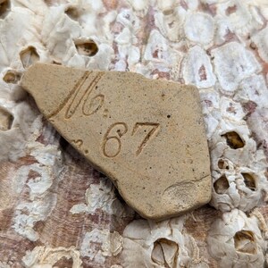 Può includere: Un frammento di ceramica color marrone chiaro di forma irregolare con il testo inciso "No. 67" sulla superficie liscia. Il pezzo presenta una consistenza opaca con piccole macchie scure visibili e un bordo spezzato leggermente irregolare.