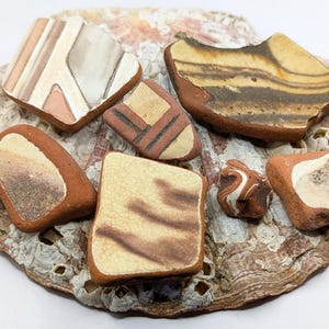 May include: A selection of small, irregularly shaped ceramic pieces in earthy tones and distinctive patterns. They are arranged on a large, textured seashell, creating a natural, artistic display.