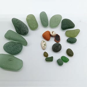 Puede incluir: Una colección de vidrio de mar y otros hallazgos de playa dispuestos en espiral. El vidrio de mar es principalmente verde e incluye una variedad de formas y tamaños. También hay algunas piezas pequeñas de vidrio de mar marrón y naranja, así como una pequeña concha blanca.