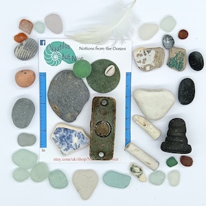 Può includere: Una collezione di vetro di mare, conchiglie e altri ritrovamenti della spiaggia, tra cui una piccola piastrella di ceramica con un motivo floreale blu e bianco, un tappo di bottiglia di vetro verde e un'etichetta metallica con il testo "Nautilus But Nice".