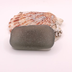 May include: A smooth, gray-green sea glass piece, with a slightly rounded rectangular shape, resting on a seashell with a reddish-brown and white pattern.