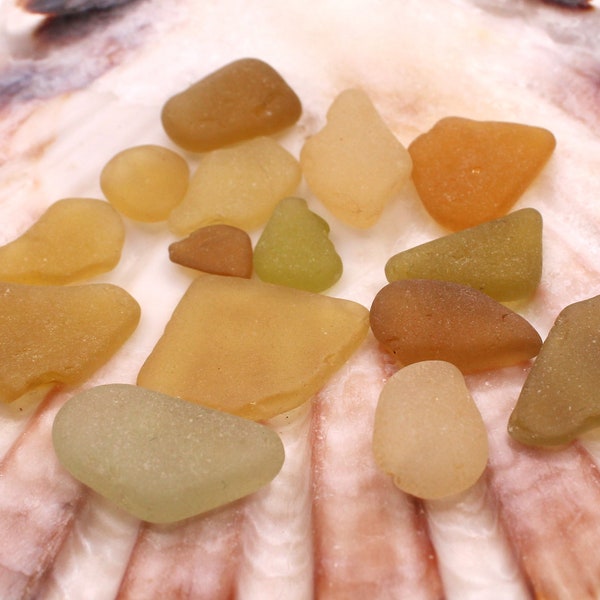 14 shades of yellow pale lemon to bright sunshine Yellow Gold Lime Scottish Sea Glass Pieces Jewellery Arts Craft Scottish Vintage Sea Glass