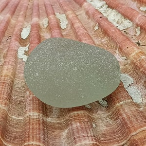 May include: A smooth, light green sea glass stone with a frosted finish, resting on a textured, reddish-brown seashell.
