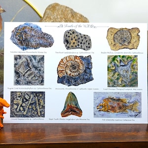 Britische Fossilienidentifikations-Kunst-Grußkarte - von einem Original-Ölgemälde von Fossilienkreaturen, die in der britischen Paläontologie-Grußkarte gefunden wurden