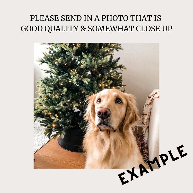 Pu&ograve; includere: Un golden retriever seduto davanti a un albero di Natale illuminato. Il cane guarda in alto e ha il naso marrone. L'albero &egrave; decorato con luci ed &egrave; in un vaso nero.