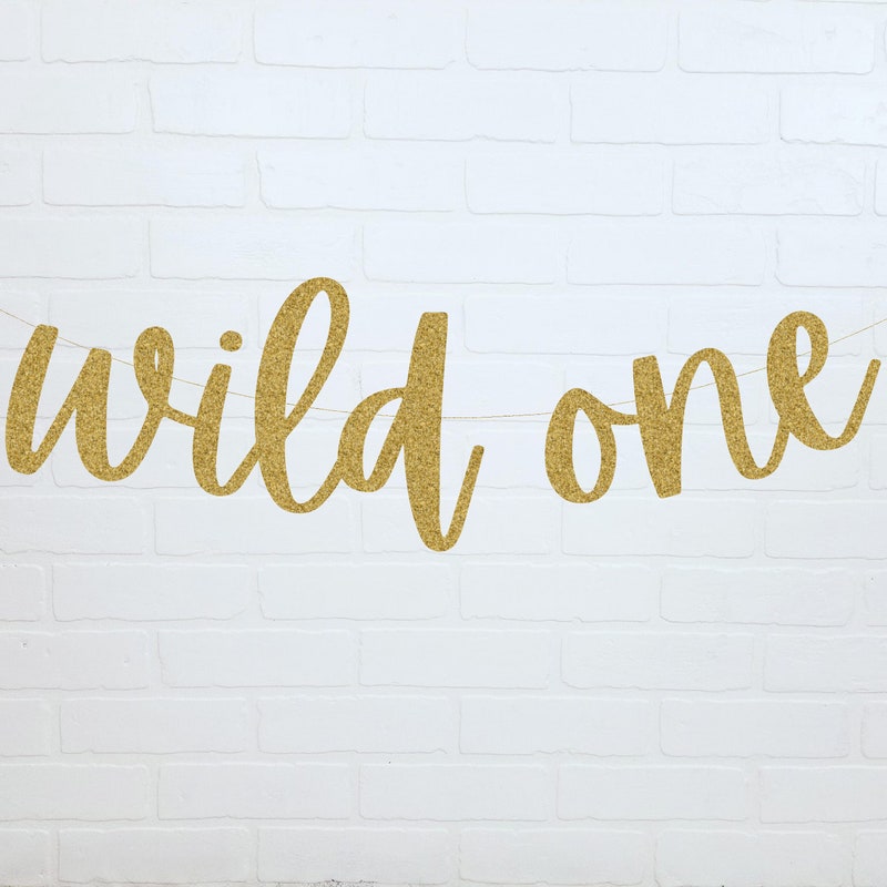 Wild One Banner - Etsy