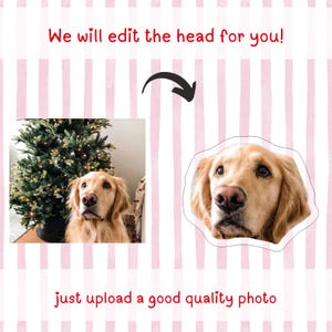 30th Birthday Banner Dog Faces | 30th Birthday for Him | Birthday Decorations for Guy | immagine 5
