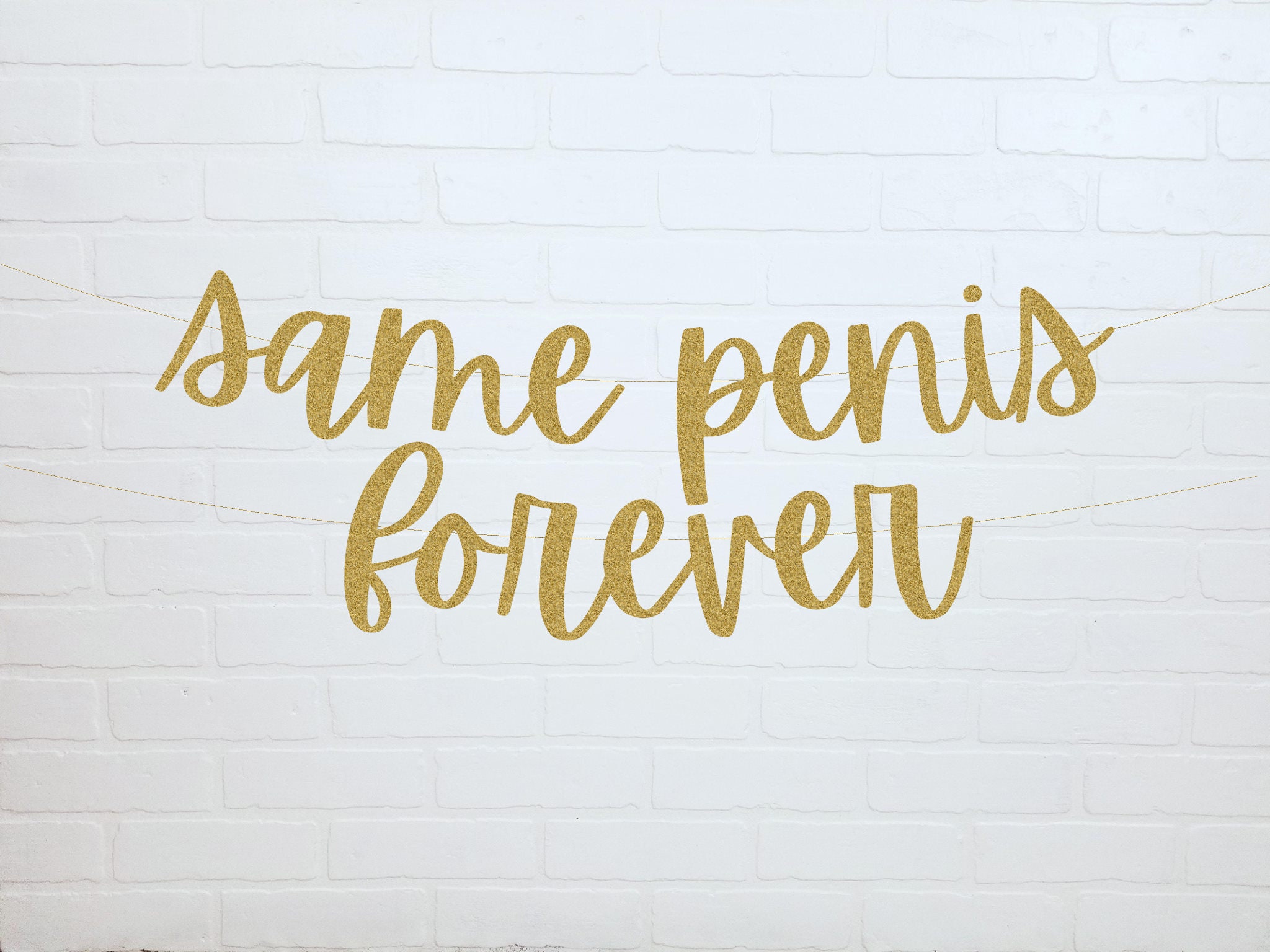 Same Penis Forever | Bachelorette Banner | Bachelorette Party Decorat…