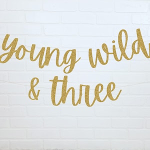 Young Wild & Three Gold Glitter Banner - 3rd Birthday Party Decorations, Happy 3rd Birthday Sign - View #13