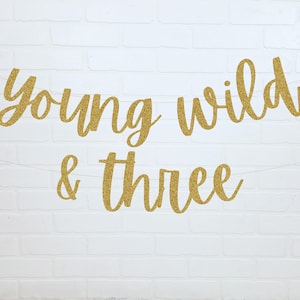 Young Wild And Three Banner | 3rd Birthday Decorations | Wild Child Birthday | 3rd Birthday Sign