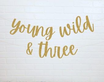 Young Wild And Three Banner | 3rd Birthday Decorations | Wild Child Birthday | 3rd Birthday Sign