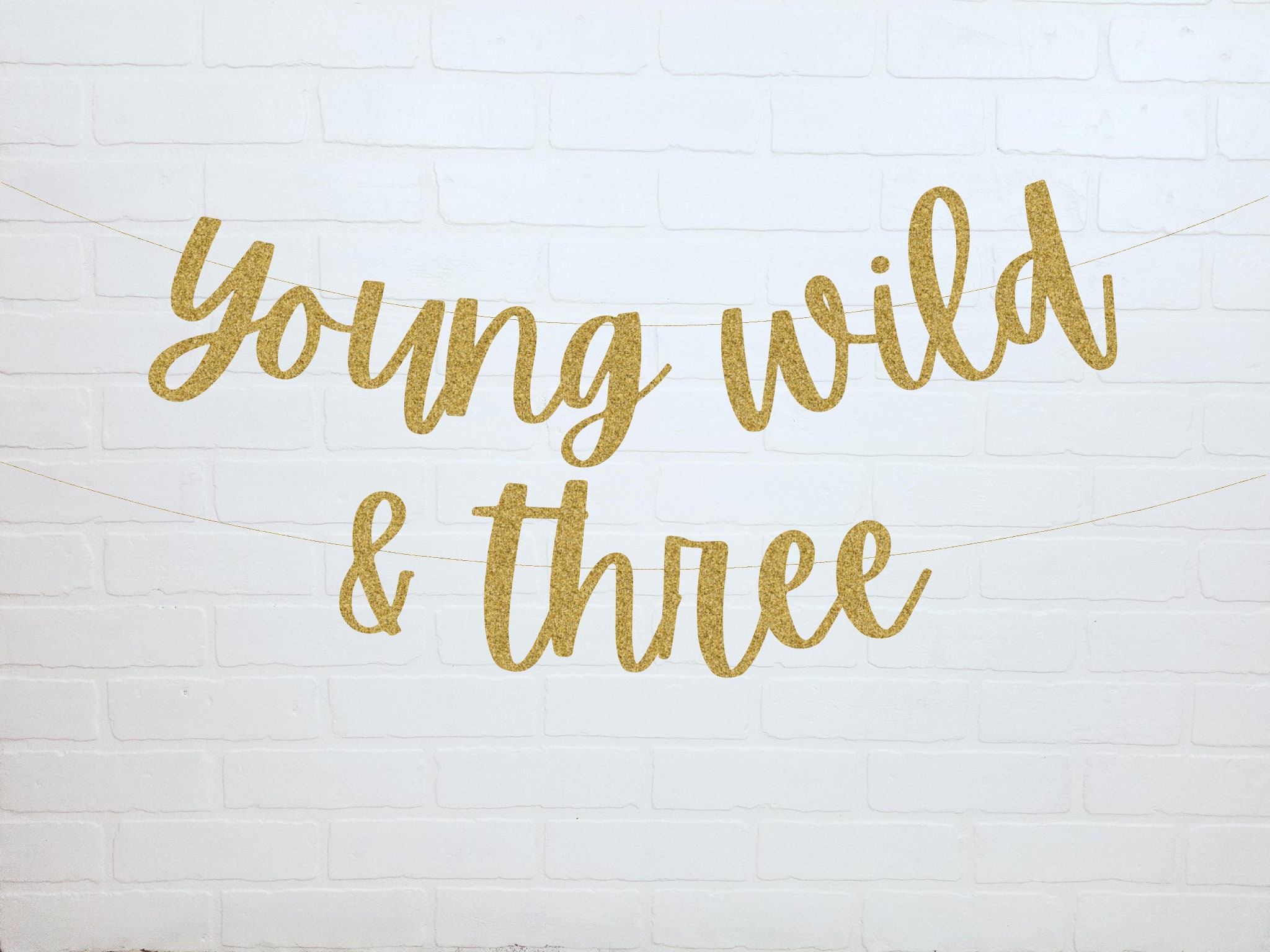 Young Wild And Three Banner | 3rd Birthday Decorations | Wild Child B…