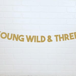 Wild and Three Party | Young Wild and Three | Wild and Three Banner | Wild and Three | 3rd Birthday Ideas | 3rd Birthday Party Ideas