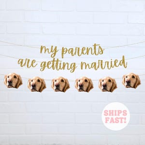 May include: Gold glitter banner with the text "My parents are getting married" and six dog faces. The banner is strung on a white wall.