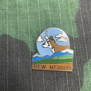 New Mexico State Backpack Hat pin