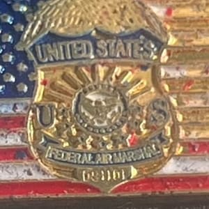 Federal Air Marshall - Etsy