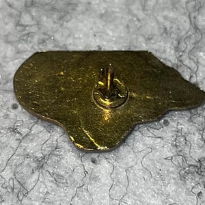 May include: A gold-colored pin with a pin back. The pin has a shape that resembles a geographical outline. The pin is on a gray, textured surface.