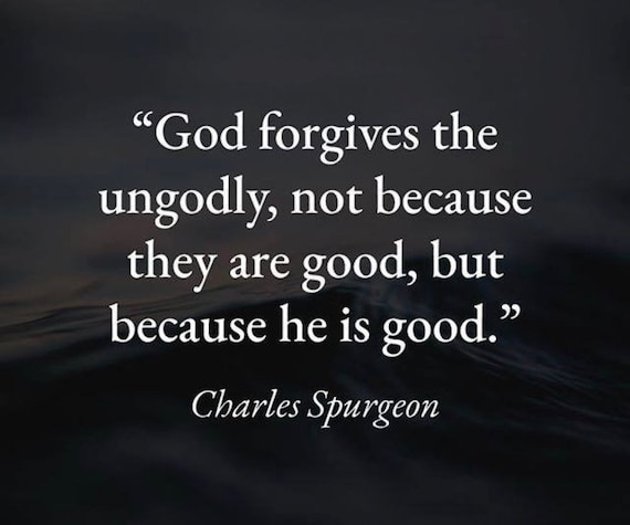 Springfield Blue Devils  School Patch-- Jacket Pa… - image 4