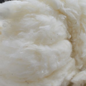 Organic Raw Cotton, US Grown Cotton, Cotton for Spinning, Spinning ...