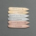 Custom stamped collar stays (GST/HST included in price) 