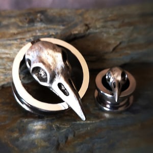 May include: Two silver ear gauges with a bird skull design. The larger gauge has a round base and the smaller gauge has a flat base.