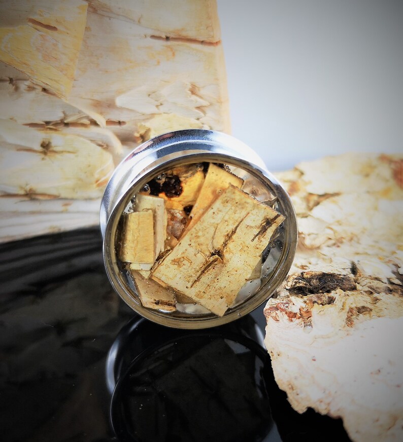 Plug, Wood, Piercing, Ear Piercing Etsy