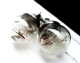 Earrings, stud earrings, dandelion seeds, pustules, pustules, stainless steel earrings, wish, wish, 12 mm ball