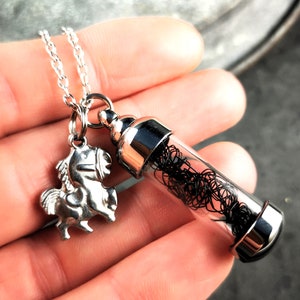 Chaîne, chaîne en acier inoxydable, pendentif en verre avec crin de cheval, médaillon image 4