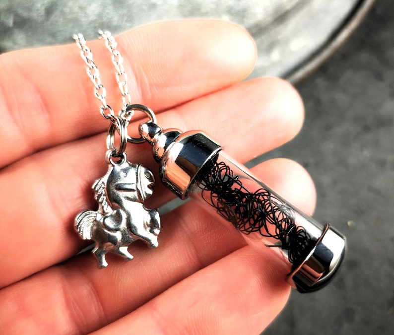Chaîne, chaîne en acier inoxydable, pendentif en verre avec crin de cheval, médaillon image 4