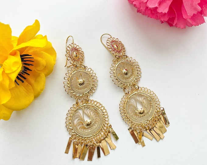 Circulos Earrings