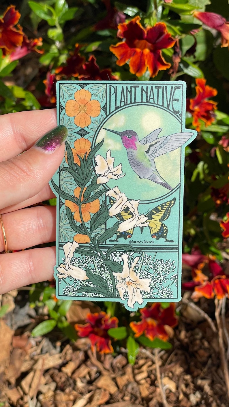 May include: A rectangular sticker with a teal background featuring the text PLANT NATIVE at the top. The design includes a hummingbird in flight, a yellow and black butterfly, orange flowers, and white blossoms in an art nouveau style frame.